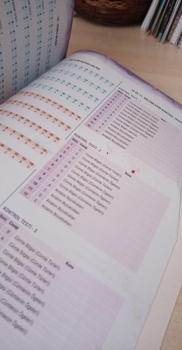 Çok Renkli Erkek Rozet - Görsel 4