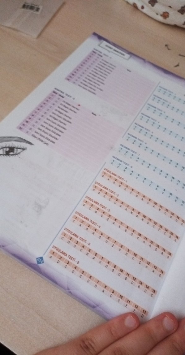 Çok Renkli Erkek Rozet - Görsel 5