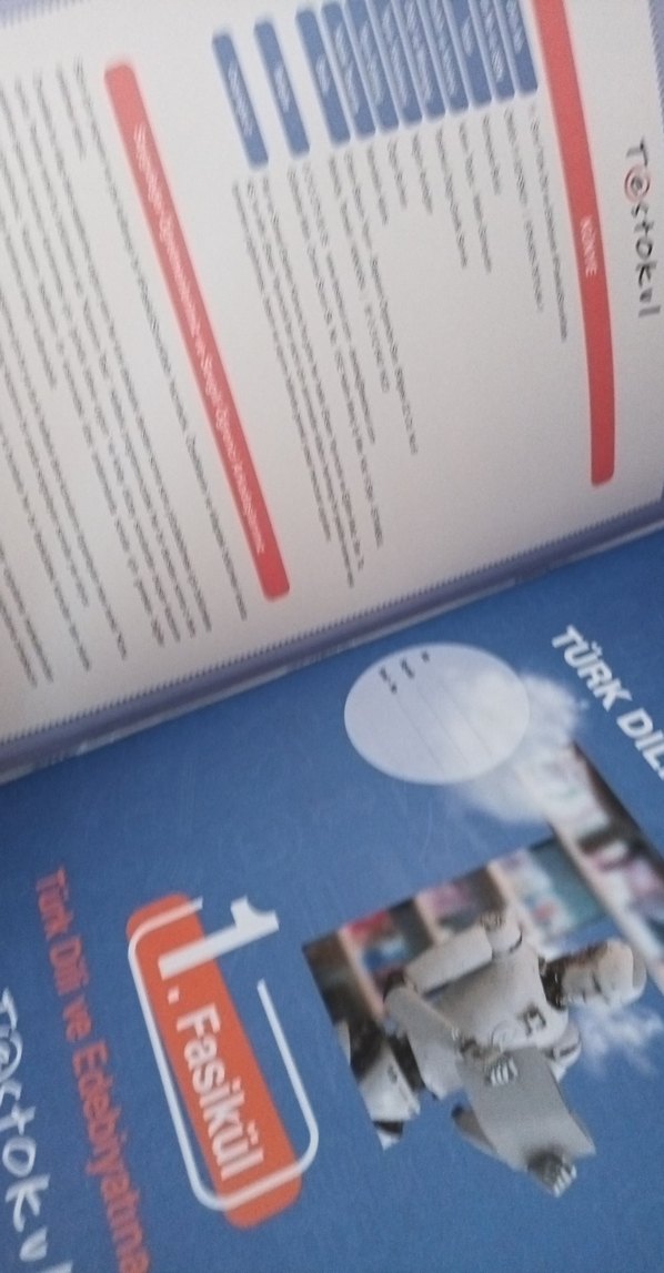 Testokvl 11. Sınıf Türk Dili ve Edebiyatı Fasikül - Görsel 3