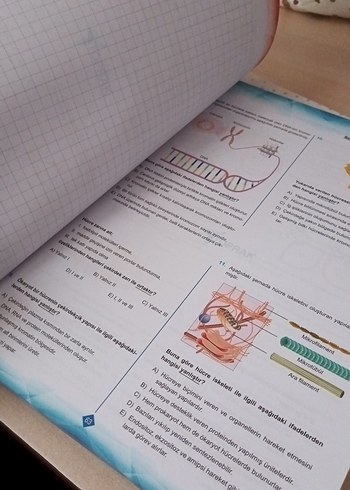 Yeni Nesil Biyoloji Soru Bankası TYT - Görsel 5