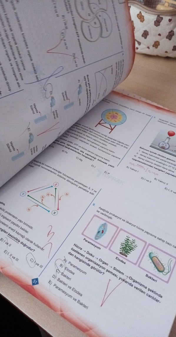Yeni Nesil Biyoloji Soru Bankası TYT - Görsel 4