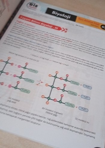 TYT Biyoloji Ders Anlatım Föyü Hazırlık Kitabı - Görsel 2