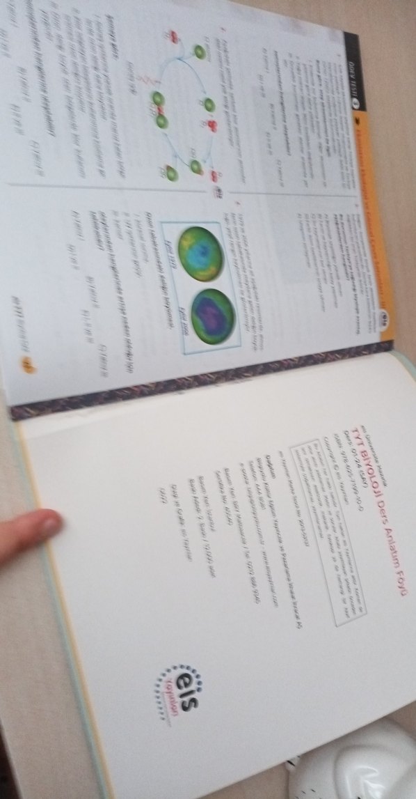 TYT Biyoloji Ders Anlatım Föyü Hazırlık Kitabı - Görsel 4