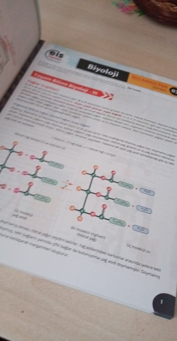 TYT Biyoloji Ders Anlatım Föyü Hazırlık Kitabı - Görsel 2