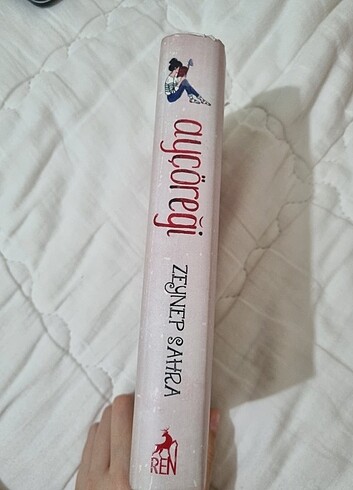 Beden Renk Ayçöreği Kitap