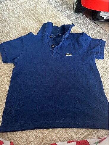 Erkek çocuk Polo yaka