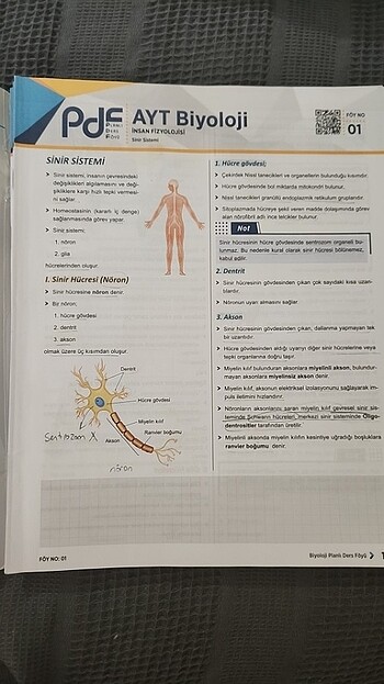  Beden Ayt biyoloji konu anlatımlı soru bankası