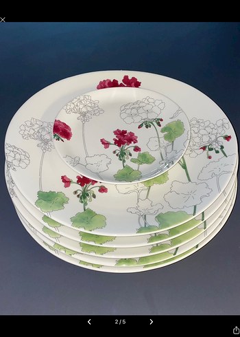 Royal Bone China~6'lı Porselen Tabak Setğ - Görsel 2