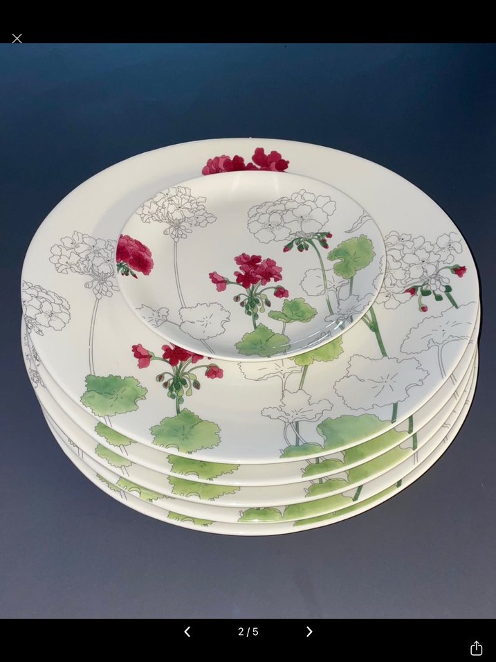 Royal Bone China~6'lı Porselen Tabak Setğ - Görsel 2