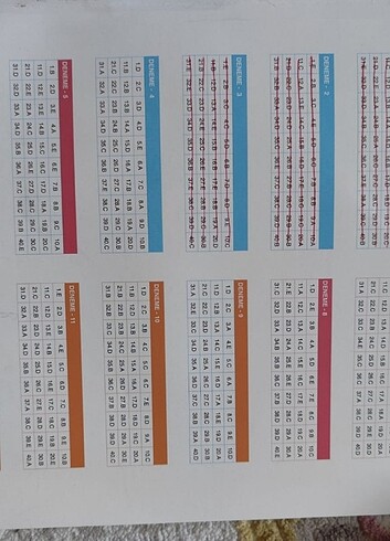  Beden Hız ve renk ayt matematik deneme 