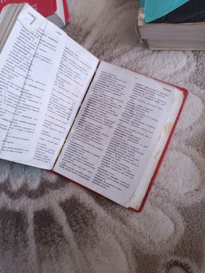 Redhouse Mini Sözlüğü İngilizce-Türkçe - Görsel 3