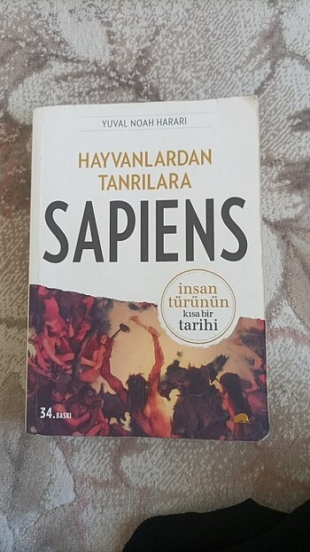 sapiens