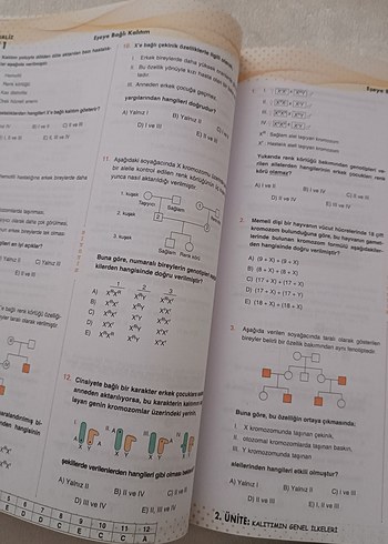 Beden 10. Sınıf Biyoloji Soru Bankası