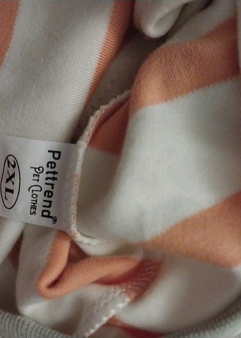 kopek kiyafeti - Görsel 9