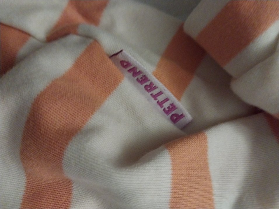 kopek kiyafeti - Görsel 5