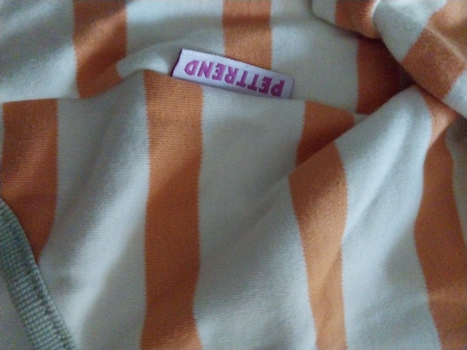 kopek kiyafeti - Görsel 2