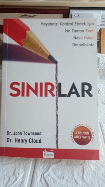 Sinirlar
