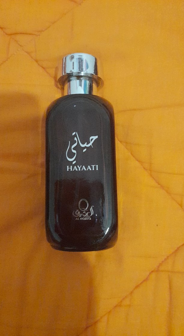 Hayaati Erkek Parfümü 100 ml - Görsel 2