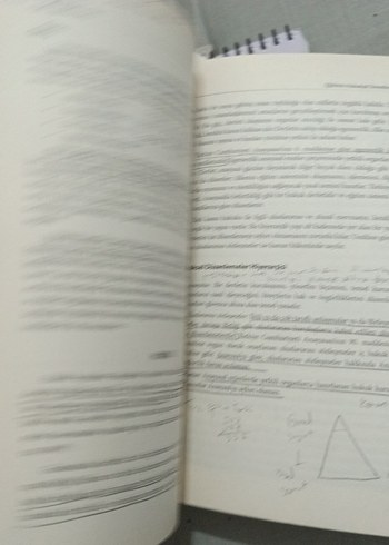 Eğitime Giriş - Kasım Kıroğlu & Cevat Elma - Görsel 5