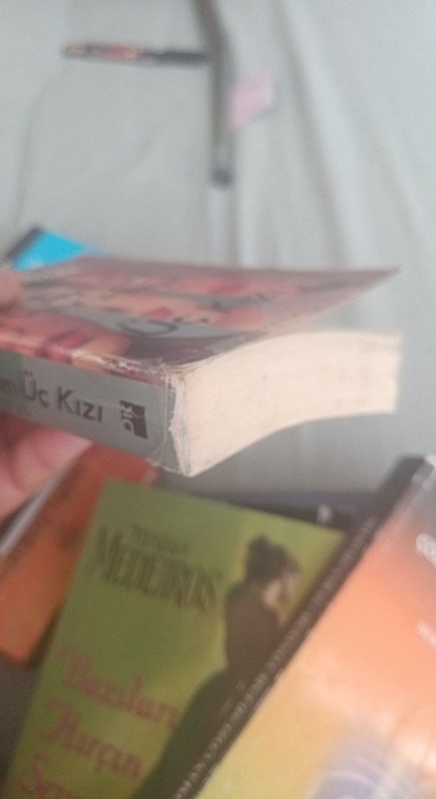 Elif Şafak - Havva'nın Üç Kızı - Görsel 4