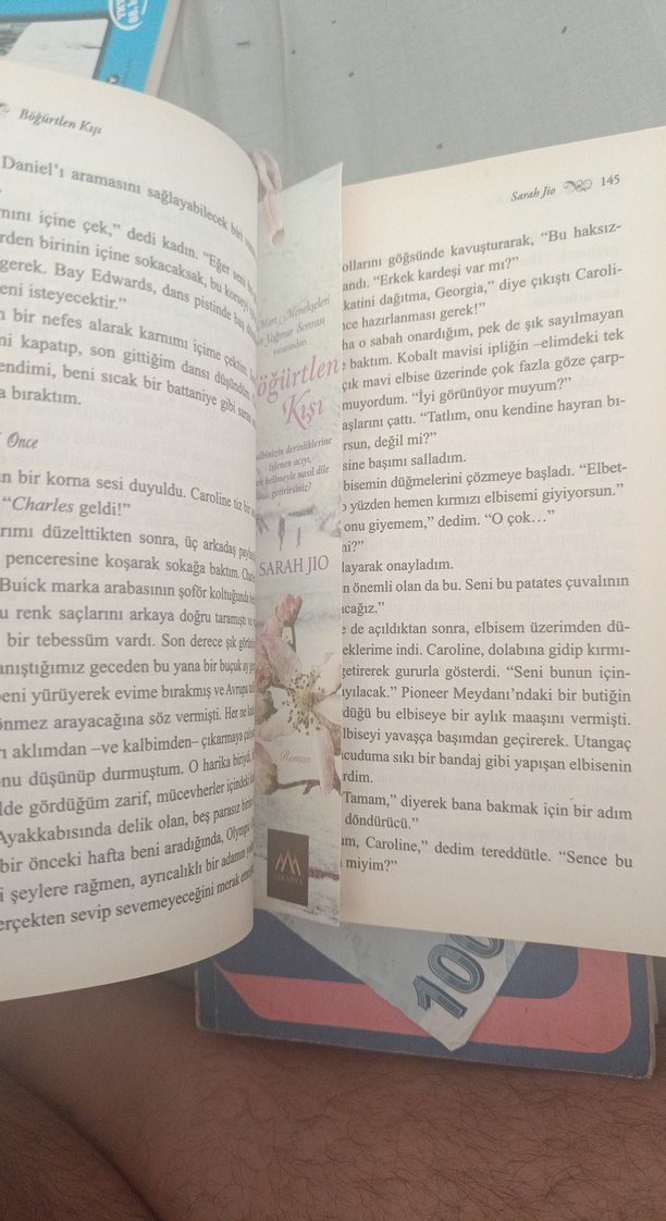 Böğürtlen Kışı - Sarah Jio - Görsel 3