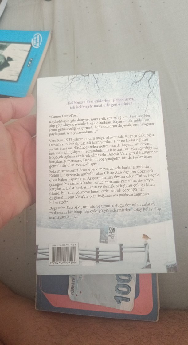 Böğürtlen Kışı - Sarah Jio - Görsel 4