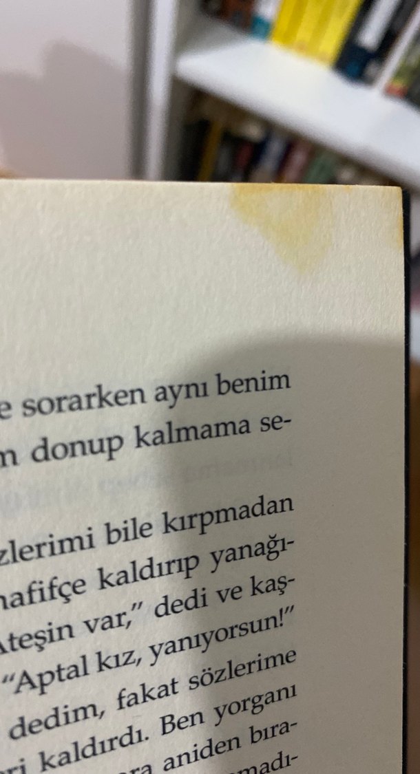 Solucan II Acı - Zeynep Sey - Görsel 5