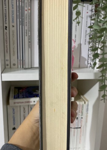 Psikopat 2 - Mihrî Mavi - Görsel 4