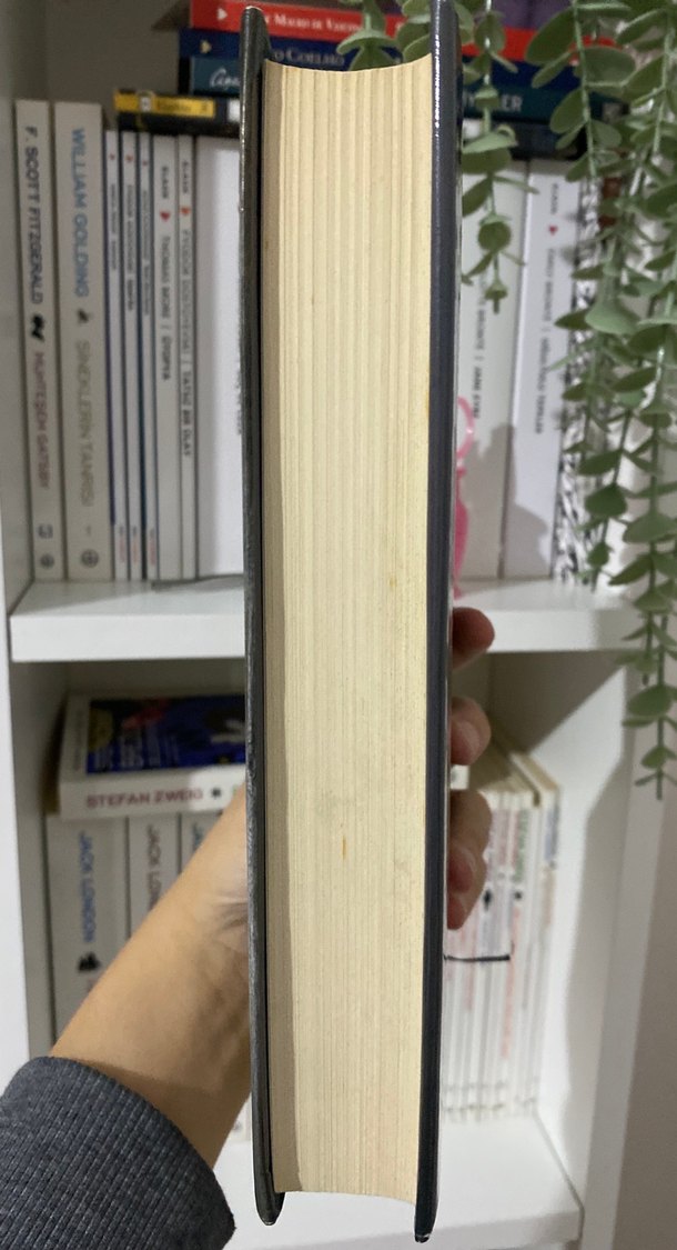 Psikopat 2 - Mihrî Mavi - Görsel 4