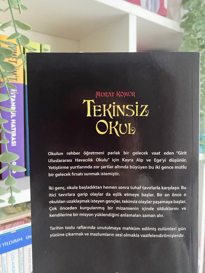 Tekinsiz Okul - Murat Kömür - Görsel 2