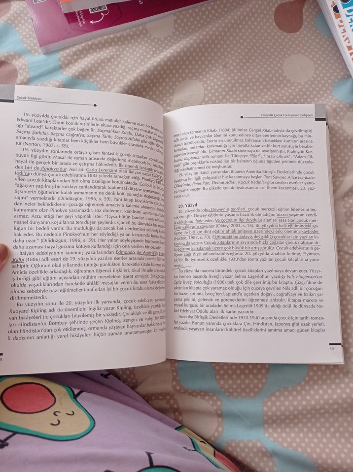 Çocuk Edebiyatı - Doç. Dr. Alev Sınar Çilgin - Görsel 5