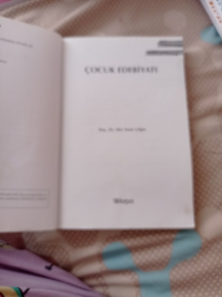 Çocuk Edebiyatı - Doç. Dr. Alev Sınar Çilgin - Görsel 3