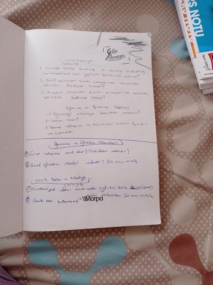 Çocuk Edebiyatı - Doç. Dr. Alev Sınar Çilgin - Görsel 2