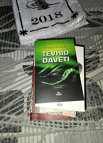 Seyyid kutup 