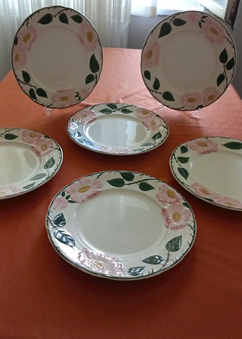 wild rose servis tabagı