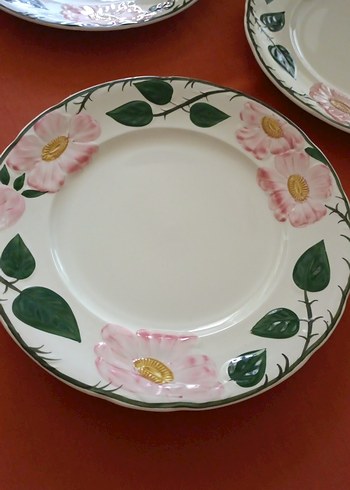  Beden pembe Renk wild rose servis tabagı