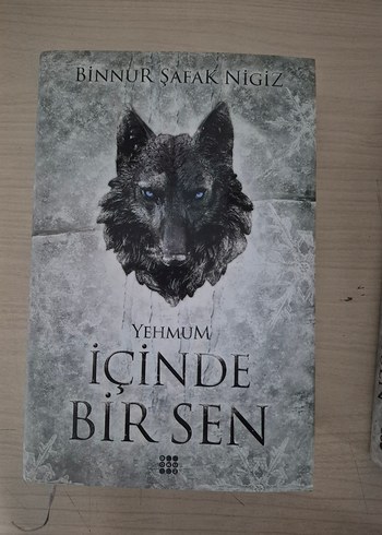 Beden Renk İçinde Bir Sen - Binnur Şafak Nigiz