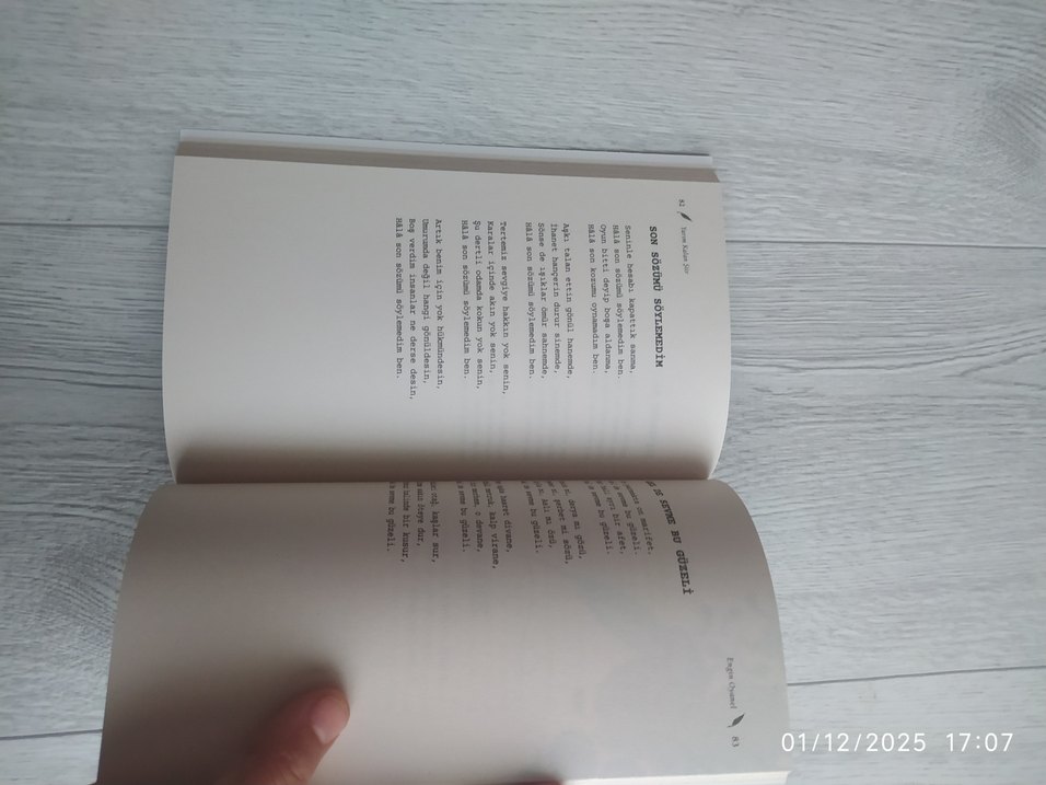 Yarım Kalan Şiir - Engin Oyanal - Görsel 3