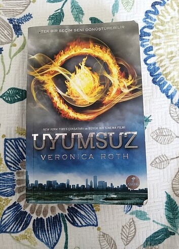 Uyumsuz kitap kullanılmış 