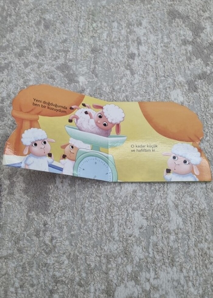 SESLİ KİTABIM VE 4 TANE İLK KİTAPLARIM - Görsel 5