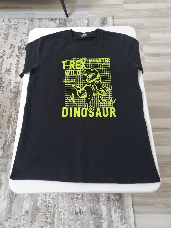 LCW TİŞÖRT - Görsel 2