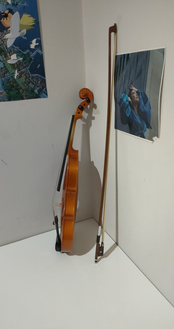 Keman Vanetta Model VL-1B 4/4 - Görsel 4