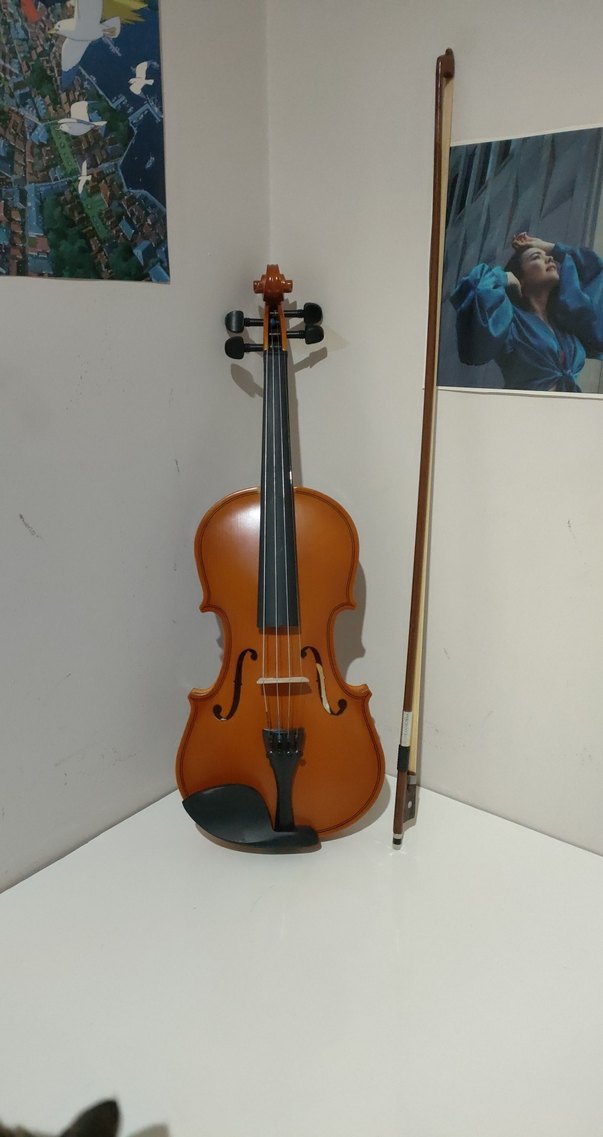 Keman Vanetta Model VL-1B 4/4 - Görsel 2