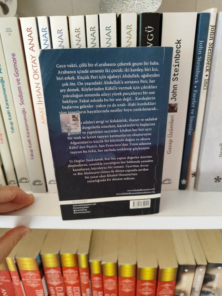 Ve Dağlar Yankılandı - Khaled Hosseini - Görsel 3