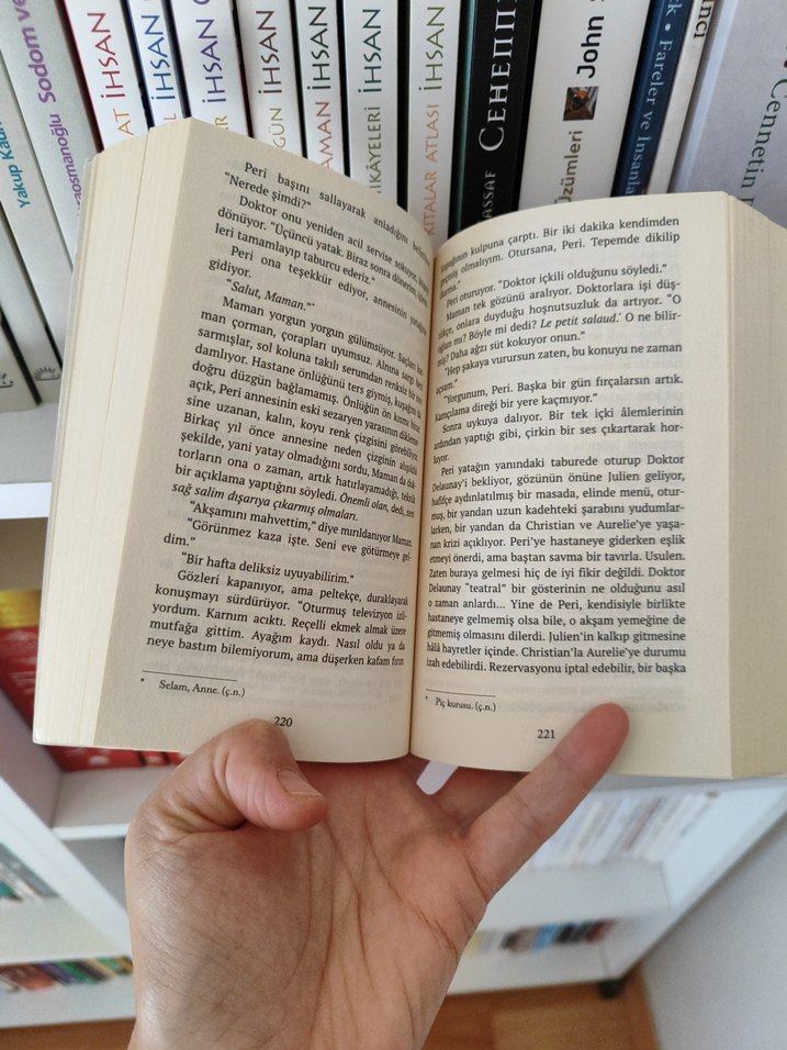 Ve Dağlar Yankılandı - Khaled Hosseini - Görsel 5