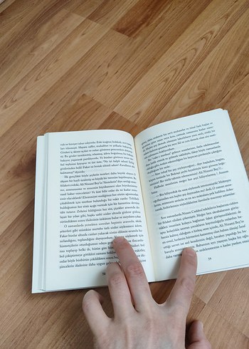 Abdülhak Şinasi Hisar - Ali Nizami Bey'in Romanı - Görsel 3