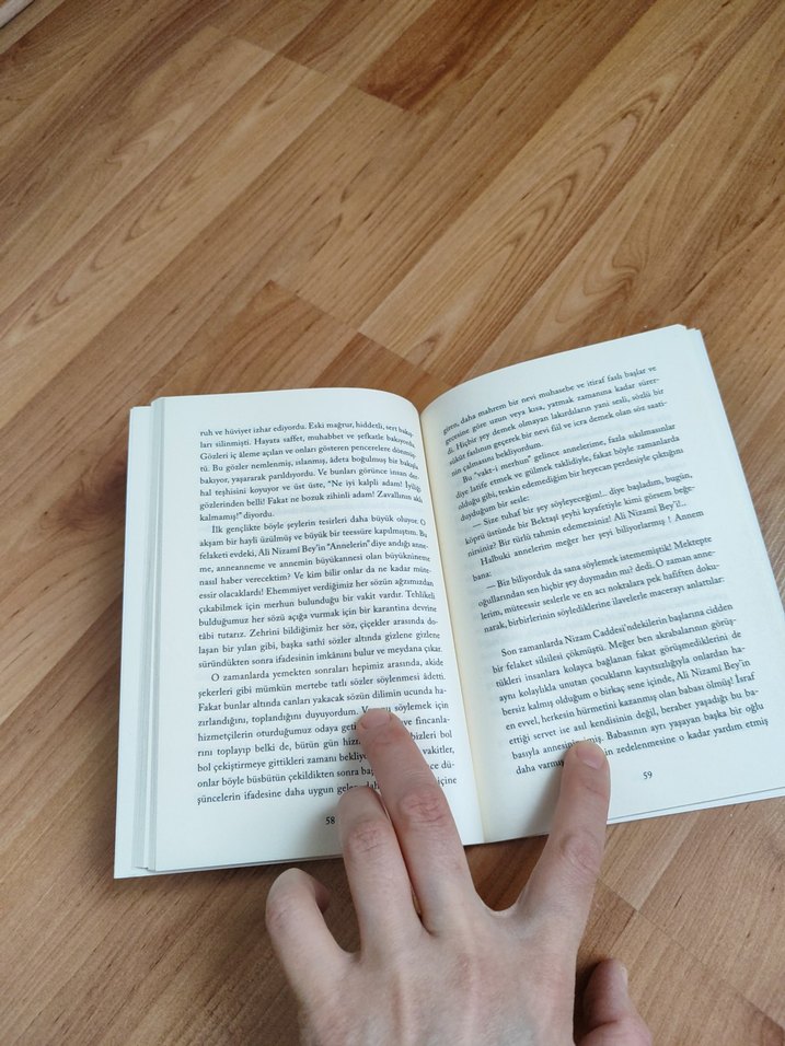 Abdülhak Şinasi Hisar - Ali Nizami Bey'in Romanı - Görsel 3