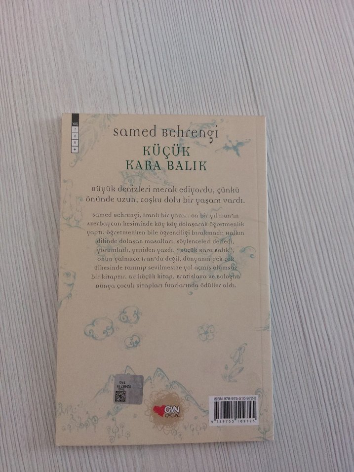 Küçük Kara Balık Çocuk Kitabı - Görsel 2