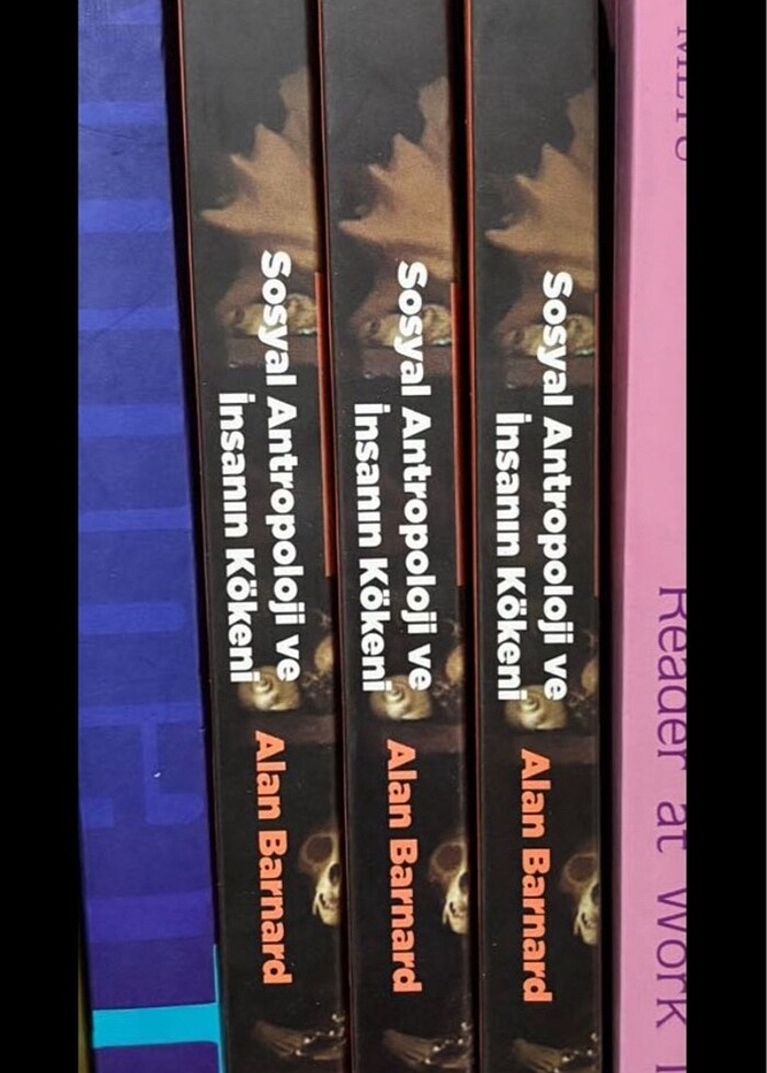 Sosyal Antropoloji ve İnsanın Kökeni / Alan Bernard - Görsel 5