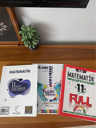 11. sınıf test kitapları